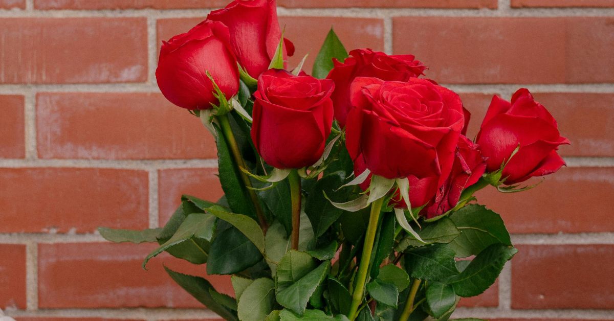 How to Choose the Perfect Gift for Your Wife