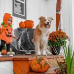 halloween front porch decorations
