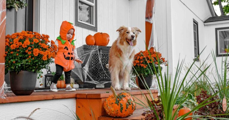 halloween front porch decorations