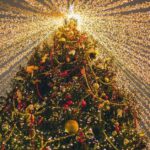 Christmas Light Displays in the United States
